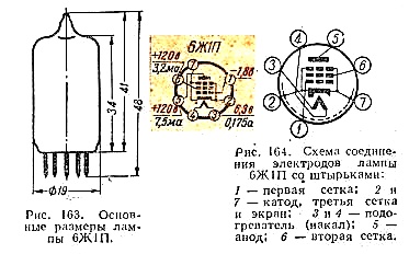 61